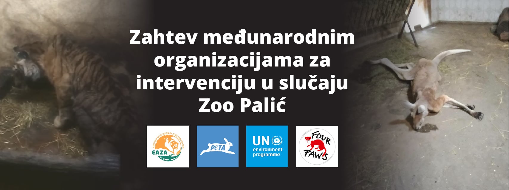 Zahtev međunarodnim organizacijama za intervenciju u slučaju Zoo Palić